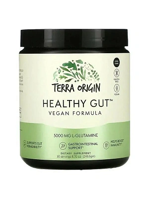 Terra Origin Healthy Gut 243g